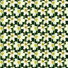 Narcis flowers seamless pattern, black background. Vector stock illustration eps10.