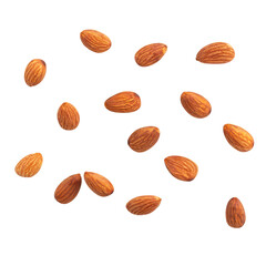 almond nut fly on white isolated