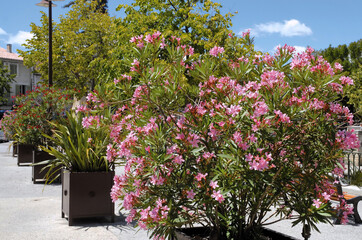 Ville de Carnoux-en-Provence, département des Bouches-du-Rhône, france