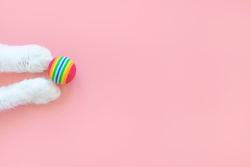 White cat paws and a toy ball. Pink background, copy space, top view. Concept of games and entertainment for pets...