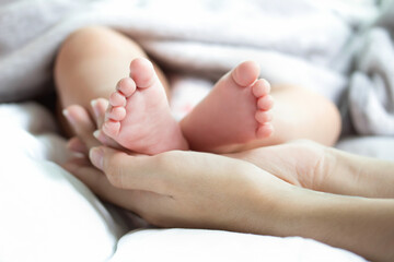 Obraz na płótnie Canvas Baby feet in mother hands. . Happy Family concept