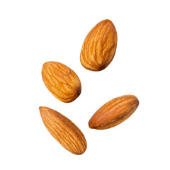 brown almond  close up on white isolated