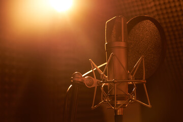 Fototapeta na wymiar Professional microphone close-up on the background of recording studio