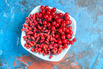 top view currants and barberries in white plate on blue red background