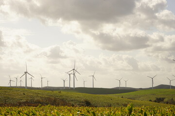 宗谷丘陵 風車 北海道 稚内市 日本 - Wind Turbine Farm Power Generator at Soya Hills in Hokkaido, Japan