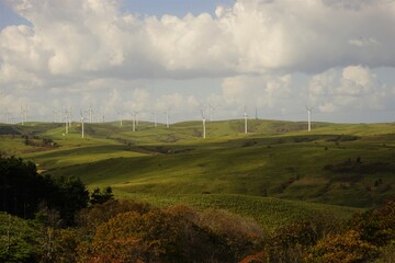宗谷丘陵 風車 北海道稚内市 日本 - Wind Turbine Farm Power Generator at Soya Hills in...