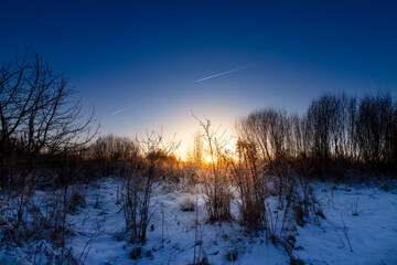 Tree silhouette by the river in the dawn twilight before sunrise in winter cold morning.