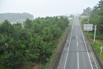 朝霧のかかった道路