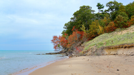 Oak trees along the shore of Lake Michigan