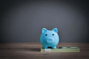 Fototapeta na wymiar A Saving blue pig on a dollar bill to show wealth through saving money.