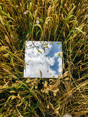 Square mirror in wheat ears with reflected blue sky and white clouds