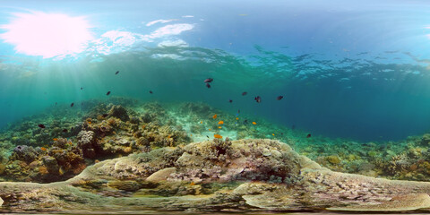 Fototapeta na wymiar Tropical sea and coral reef. Underwater Fish and Coral Garden. Underwater sea fish. Tropical reef marine. Colourful underwater seascape. Philippines. Virtual Reality 360.