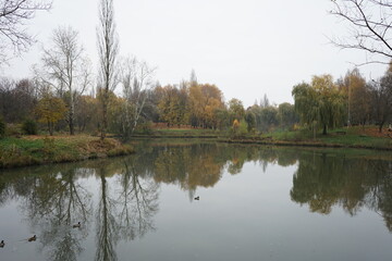 autumn in the park