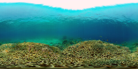 Fototapeta na wymiar Colourful tropical coral reef. Scene reef. Seascape under water. Philippines. Virtual Reality 360.