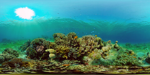 Coral garden seascape and underwater world. Colorful tropical coral reefs. Life coral reef. Philippines. 360 panorama VR