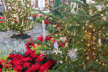 decorated christmas tree