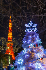 東京都港区芝公園にある公園のクリスマスイルミネーションの景色