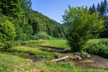 Fototapeta na wymiar Landschaft am Filsursprung, Schwäbische Alb, Baden-Württemberg