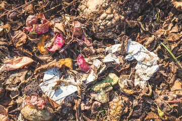 Organic waste concept. Close up of composting vegetables and fruits