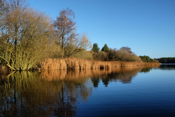 Still water on a large calm lake, during a cold sunny winters morning, Surrey, UK