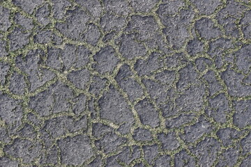 Cracked patterned texture from a dried out grass surface