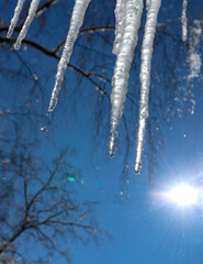 Icy icicles against the blue sky, the shining sun and many small snowflakes in the air. Clear, cold and transparent ice is frozen water in the form of long icy cone-shaped. Beautiful winter or spring 