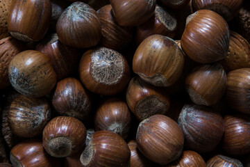 Hazelnut background. Healthy nutrition for healthy lifestyle