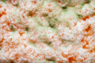 Extreme close up of white and green mold on a mandarin orange. Macro texture of moldy citrus fruit. Shallow depth of field