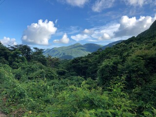 Lush Green Jungle Landscape Panorama, Con Dao Island, Vietnam