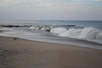 Waves Crashing on the Beach I