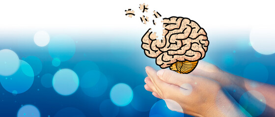 Women's hands holding a brain for mental health. Dementia, Alzheimer and Parkinson's.