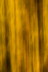 Barrido abstracto para fondo bosque amarillo azul naranja