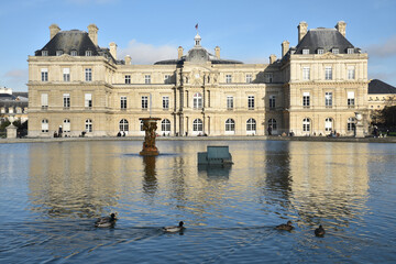Fototapeta na wymiar Grand bassin du jardin du Luxembourg à Paris, France