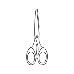 Doodle style scissors illustration. Scissors vector sketch illustration