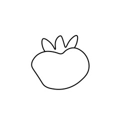 Vector persimmon in doodle style. Asian food black line hand drawn.One illustration of fruit. Design for social media, menus, packaging, cards, printing, advertising.