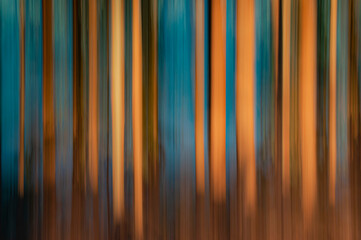 Barrido abstracto para fondo bosque amarillo azul naranja