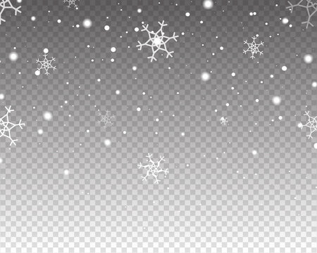 Realistic falling snow. Snow overlay effect. Falling snow isolated on transparent background. Vector illustration. 