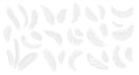 White feathers. Realistic 3D fluffy bird plume in different angle, feather heaven decor elements. Symbol of lightness and softness vector isolated set of goose, angel or swan quill © SpicyTruffel