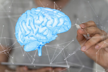 brain