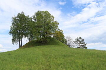 Mound in spring