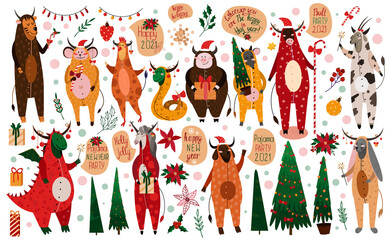 Big New Year vector set of 12 zodiacs in pajamas in the shape of a bull. Bull, goat, bunny, dog, snake, monkey, horse, rooster, tiger, dragon, pig, rat, Christmas trees, gifts, Christmas decorations