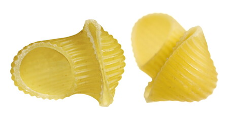 Set pasta lumaconi rigati, macro isolated on white background, clipping path