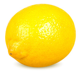 Isolated lemon. One whole lemon citrus fruit isolated on white background with clipping path