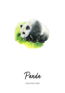 Panda card watercolor illustration on watercolor splash background