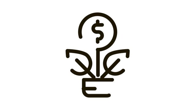 Plant Grow Coin Icon Animation. black Plant Grow Coin animated icon on white background