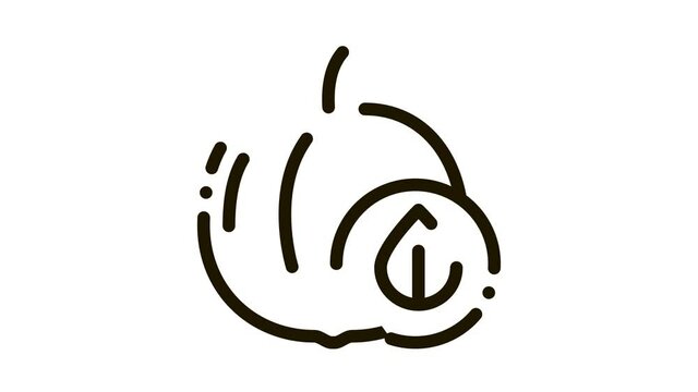 Peach Fruit Leaf Icon Animation. black Peach Fruit Leaf animated icon on white background