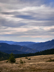 Scenic mountain landscape  in the autumn season. Carpathian, Ukraine.
