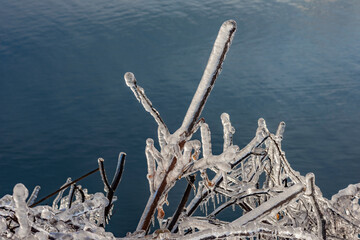 Ice rain series: frozen branches of a tree under blue sea close view