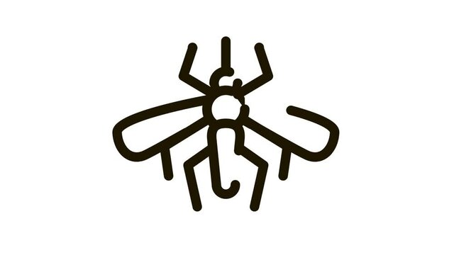 Mosquito Insect Icon Animation. black Mosquito Insect animated icon on white background