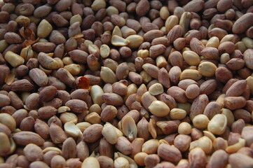 In saline horn farming production villages